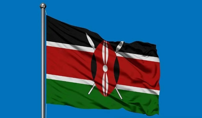 肯尼亚海关数据查询平台（附免费试用查询名额）